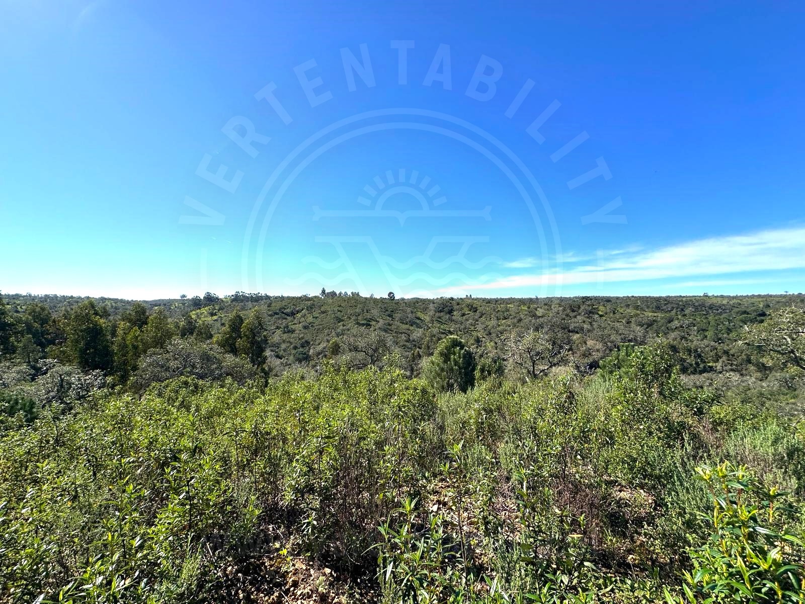 Land for sale in Grândola, Portugal — €170,000