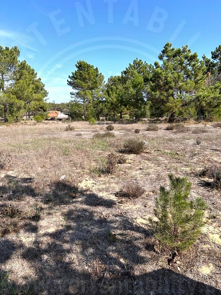 Land for sale in Grândola, Portugal — €370,000