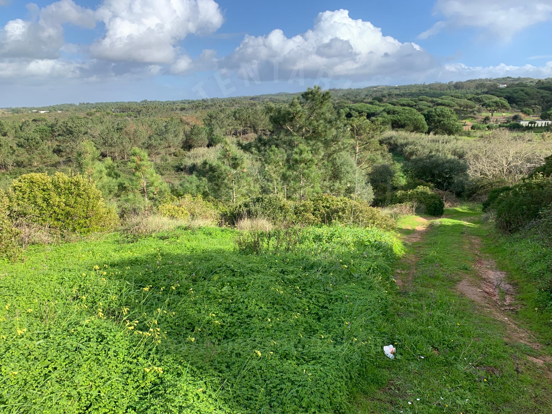 Land for sale in Sesimbra, Portugal — €1,100,000