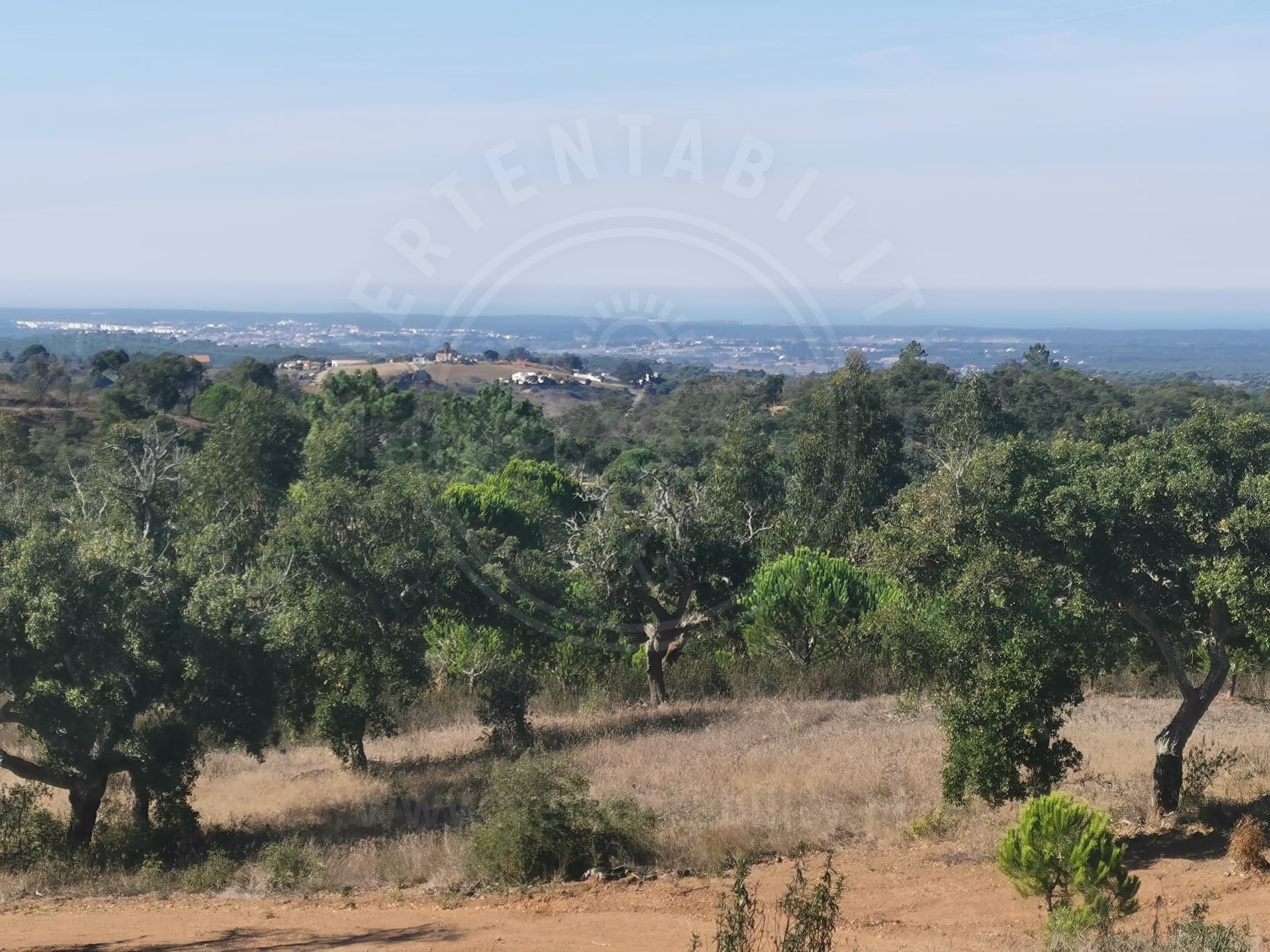 Land for sale in Santiago do Cacém, Portugal — €1,200,000