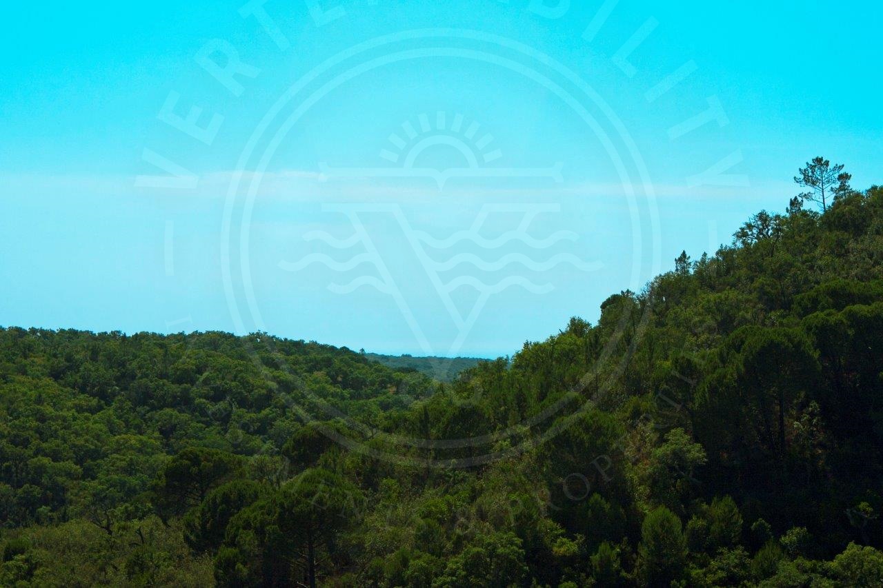 Land for sale in Santiago do Cacém, Portugal — €250,000